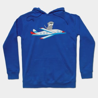 cat on the plane Hoodie